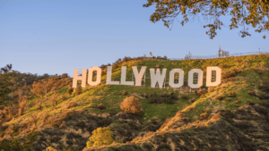 Los Angeles/ Our Service Areas