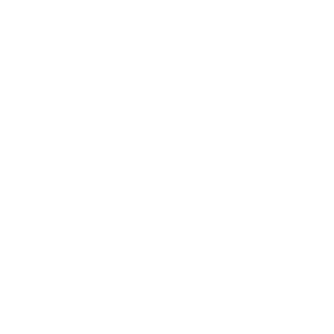 Armed Security- patrol