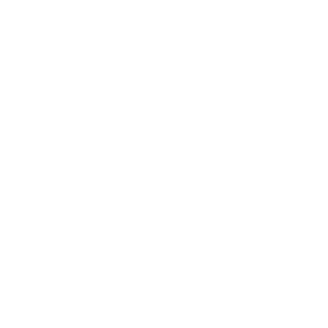 Armed Security- Access Control Procedures