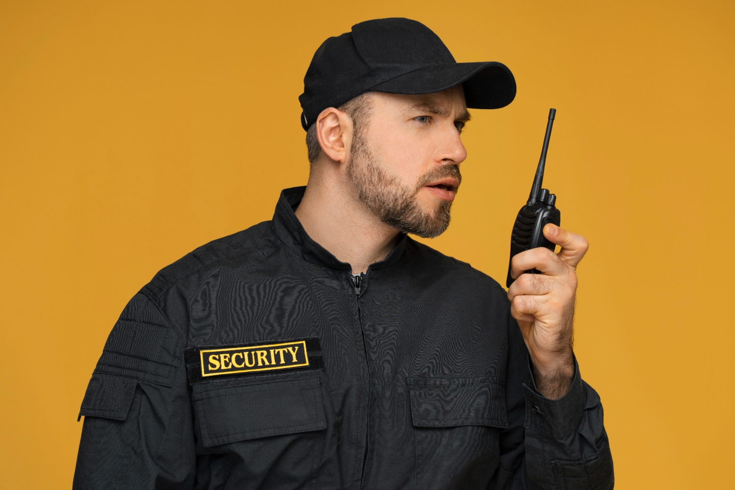 Best Guards for Seasonal Security